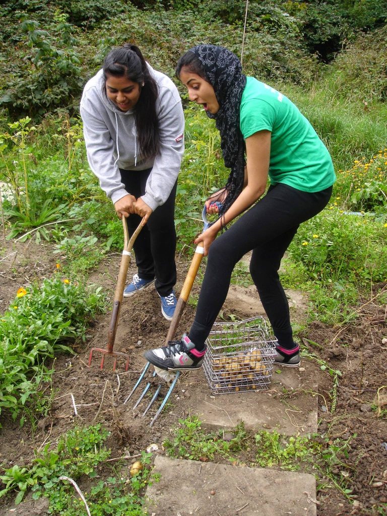 two young women dig potatoes