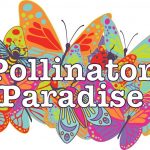 Pollinator paradise