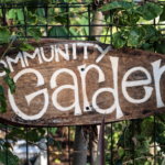 Right to Grow in Wandsworth!